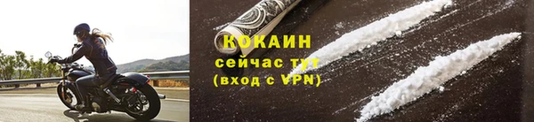 СК Богородск