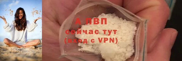стаф Богородицк