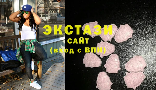 СК Богородск