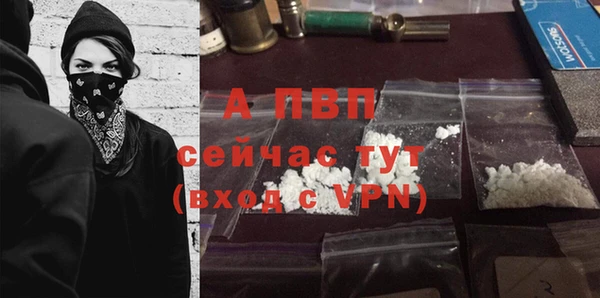 СК Богородск