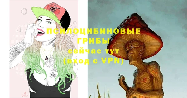 стаф Богородицк