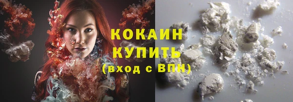 стаф Богородицк