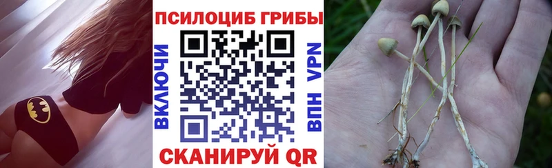 сайты даркнета Telegram  Сковородино  Псилоцибиновые грибы Magic Shrooms  mega зеркало 